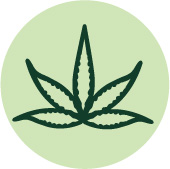 hemp-leaf
